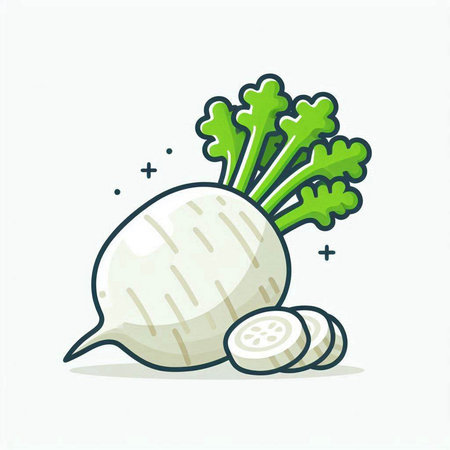 Radish vector illustration. Vegetable icon isolated on white background.のイラスト素材