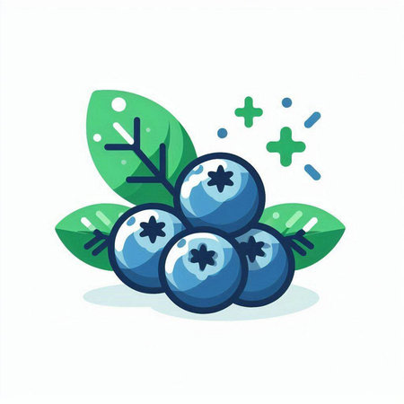 Blueberry vector illustration, flat cartoon style. Isolated on white background.のイラスト素材