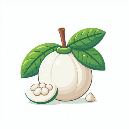 Illustration of a mangosteen isolated on a white background.のイラスト素材