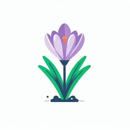 Purple crocus flower on a white background. Vector illustration in flat style.のイラスト素材