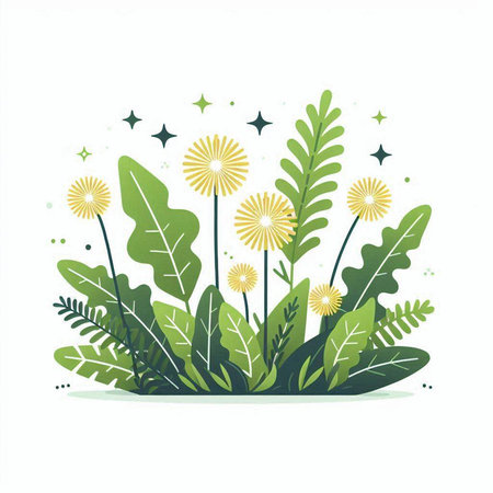 Dandelion flowers with green leaves and stars. Vector illustration.のイラスト素材