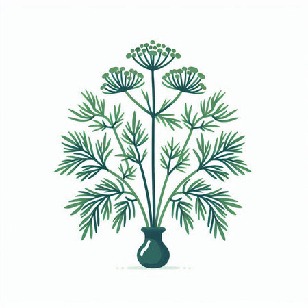Dill, fennel in a vase. Vector illustration.のイラスト素材