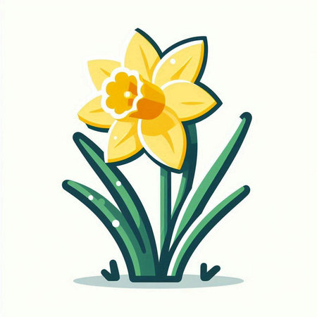 Daffodil flower on white background. Flat vector illustration.のイラスト素材