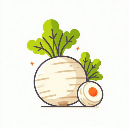 Vector illustration of turnip. Vegetable icon in flat style.のイラスト素材