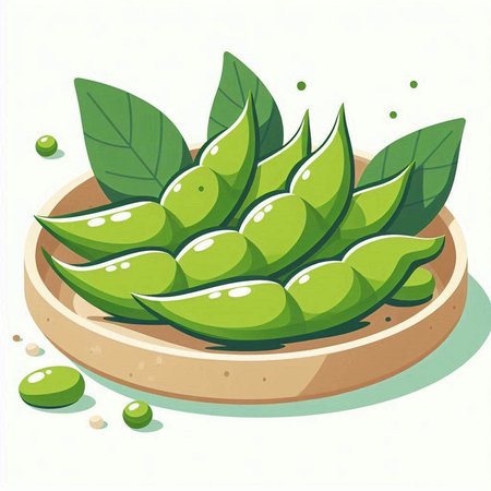 Illustration of green soybeans in a wooden bowl on a white backgroundのイラスト素材