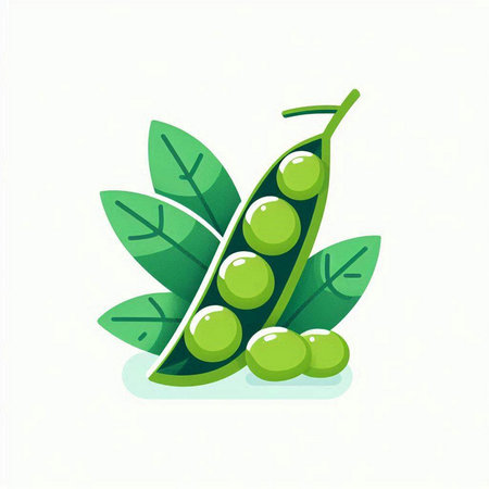 Peas with green leaves. Green peas with green leaves. Vector illustration.のイラスト素材