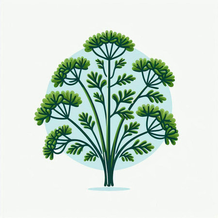 Parsley tree with green leaves on blue background. Vector illustration.のイラスト素材