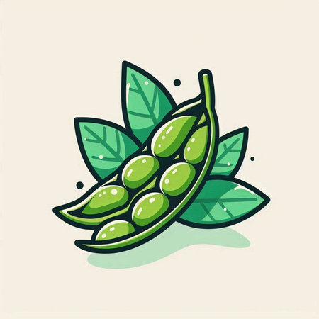 Soybean icon. Vector illustration of soybeans with leaves.のイラスト素材