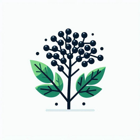 Branch with berries and leaves. Vector illustration in flat style.のイラスト素材