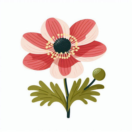 Elegant hand drawn illustration with anemone flower, design element. Can be used for wedding invitations, greeting cards, scrapbooking, print, gift wrap, manufacturingのイラスト素材