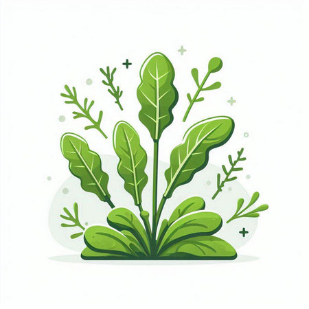 Green leaves. Vector illustration. Isolated on a white background.のイラスト素材