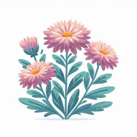 Flower bouquet of chrysanthemums. Vector illustration.のイラスト素材