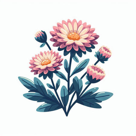 Beautiful pink chrysanthemum flowers. Vector illustration.のイラスト素材