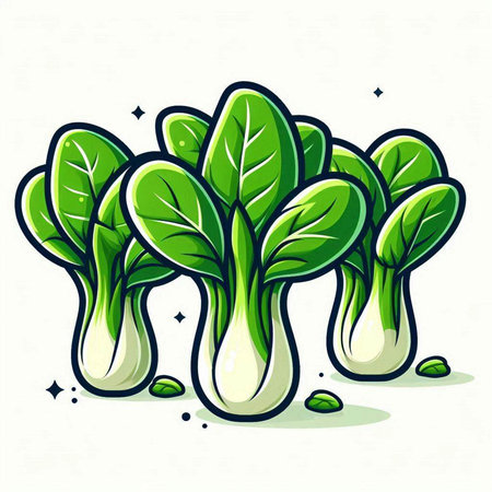 Bok choy vector illustration isolated on white background. Bok choy icon.のイラスト素材