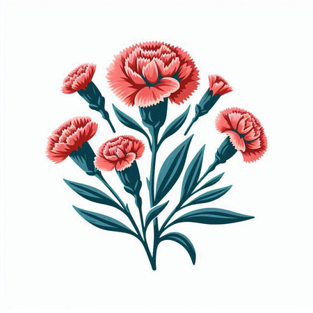 Carnation flower bouquet isolated on white background. Vector illustration.のイラスト素材