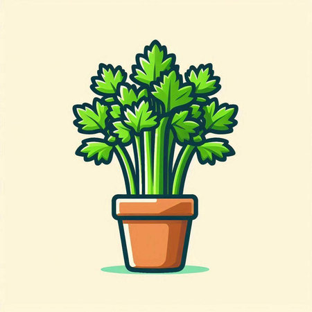 Parsley in a pot. Vector illustration of parsley.のイラスト素材