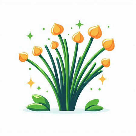 Bouquet of yellow tulips on a white background. Vector illustration.のイラスト素材