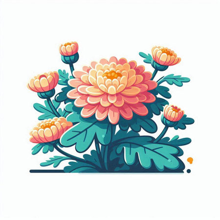 Beautiful chrysanthemum flowers. Hand drawn vector illustration.のイラスト素材
