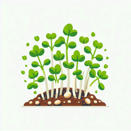 Green seedling. Sprouts of young plants. Vector illustration.のイラスト素材
