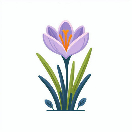 Crocuses. Spring flowers. Vector illustration in flat style.のイラスト素材