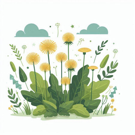 Vector illustration of dandelion flowers, grass, leaves and cloudsのイラスト素材