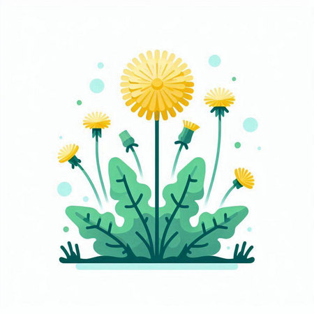 Flowering dandelion in the grass. Vector illustration.のイラスト素材