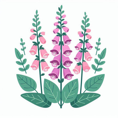 Foxglove flowers and leaves isolated on white background. Vector illustration.のイラスト素材