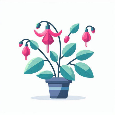 Fuchsia flower in a pot. Vector illustration in flat styleのイラスト素材