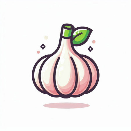 Garlic vector illustration. Isolated object on a white background.のイラスト素材
