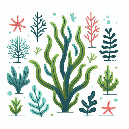 Set of seaweed. Underwater plants. Vector illustration in flat style.のイラスト素材