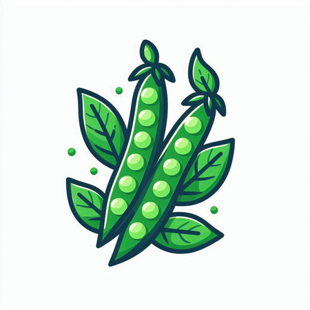 Green peas with leaves. Vector illustration isolated on a white background.のイラスト素材