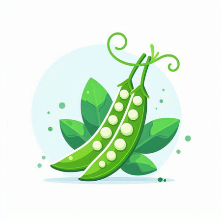 Green peas with leaves isolated on a white background. Vector illustration.のイラスト素材