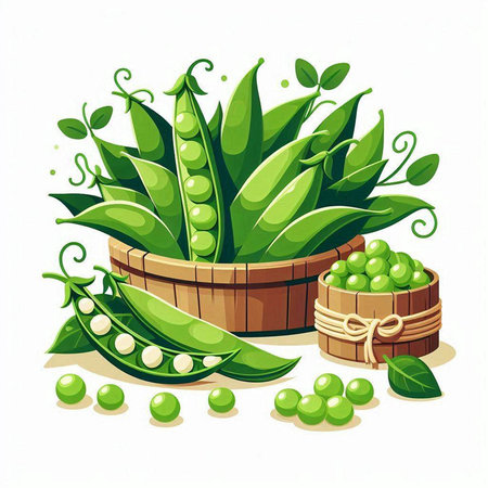 Vector illustration of fresh green peas in wooden bowl and wooden barrel on white backgroundのイラスト素材