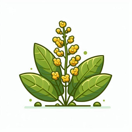 Branch with yellow flowers isolated on white background. Vector illustration.のイラスト素材