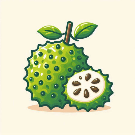 Soursop fruit. Exotic tropical fruit. Vector illustration.のイラスト素材