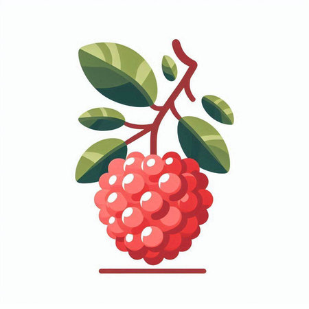 Raspberry isolated on white background. Vector illustration in flat cartoon style.のイラスト素材