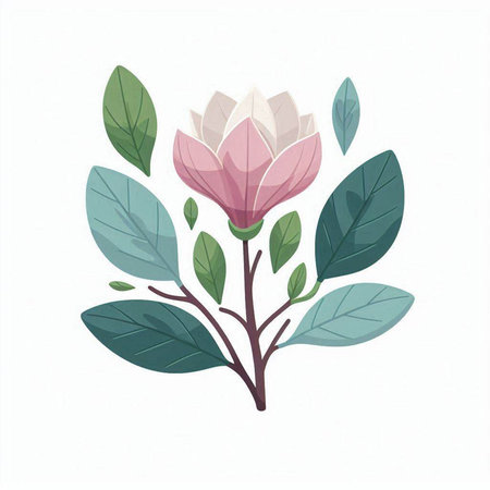Magnolia flower and leaves. Hand drawn vector illustration on white background.のイラスト素材