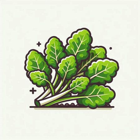 Vector illustration of fresh spinach. Isolated on a white background.のイラスト素材