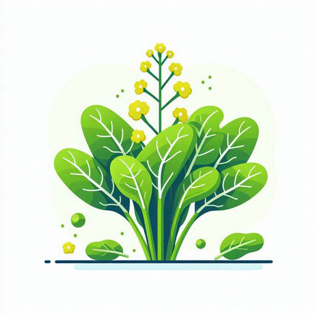 Vector illustration of a green plant on a white background. Flat style.のイラスト素材