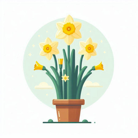 Daffodils in a pot. Vector illustration in flat style.のイラスト素材