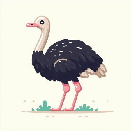 Ostrich vector illustration. Cute ostrich vector illustration.のイラスト素材
