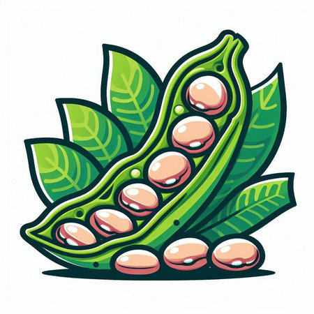 Pea pods and leaves isolated on white background. Vector illustration.のイラスト素材