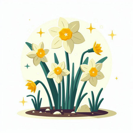 Narcissus flowers in the garden. Vector illustration in flat style.のイラスト素材