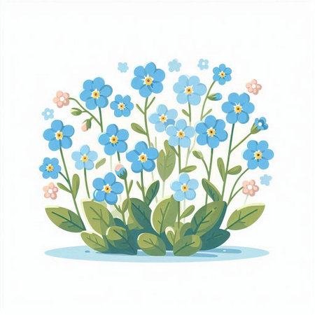 Blue forget-me-not flowers on white background. Vector illustration.のイラスト素材