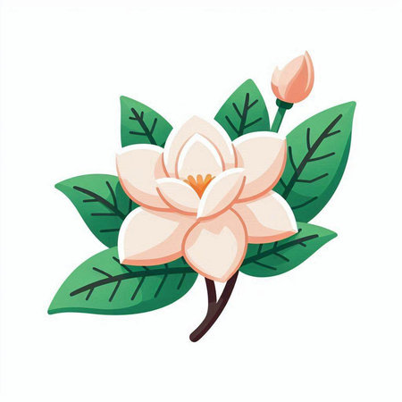 beautiful magnolia flower with leafs isolated icon vector illustration designのイラスト素材