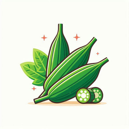 Illustration of okra in cartoon style on a white background.のイラスト素材