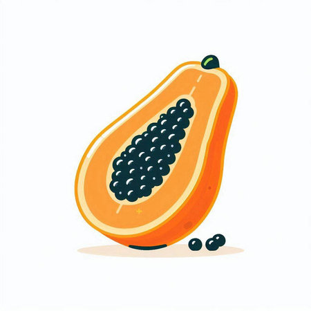 Papaya fruit on white background. Vector illustration in cartoon style.のイラスト素材