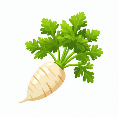 Fresh parsley vegetable isolated on white background. Vector cartoon illustration.のイラスト素材