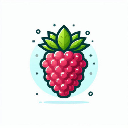 Raspberry fruit icon. Vector illustration of berry in flat style.のイラスト素材