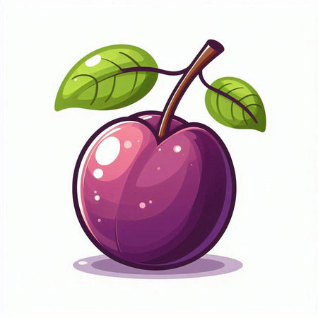 Illustration of a plum on a white background. Vector illustration.のイラスト素材